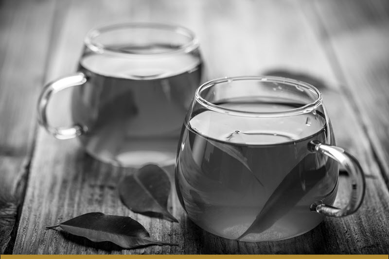 Green tea as a metabolism booster supplement